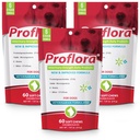 Proflora Probiotic Soft Chews for Dogs - Veterinary- Power Daily Probiotic - Distraffic Health - Boost Ammune System - Skin and Coat Health - 180 Soft Chews