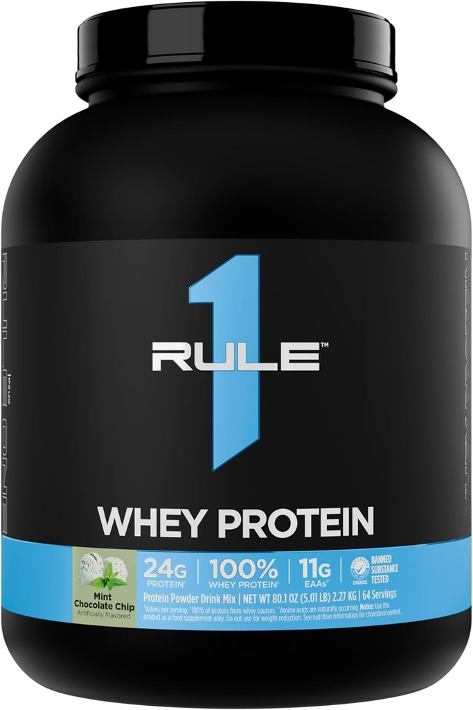 Aturan 1 Whey Protein - 24g Fasting Protein dari All- Whoy Sumber dengan Alami Occurring EAS untuk Pemulihan Kerja atau Kapanpun Gunakan (5 Pounds *, Mint Chocolate Chip)