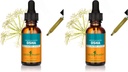 Herb Pharm OSHA Root Liquid Ekstrak untuk Dukungan Repiratory - 1 Ounce (Paket 2)