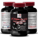 Stamina Dukung Formula - TRIBULUS TERRESTRICT - Power Recharge, Power Support Blend, Fisik Boost, Pembangkit Energi, Dukungan Tubuh Formula, Kekuatan dan Kekuatan, Kekuatan Aktif 1Bot 90Tab