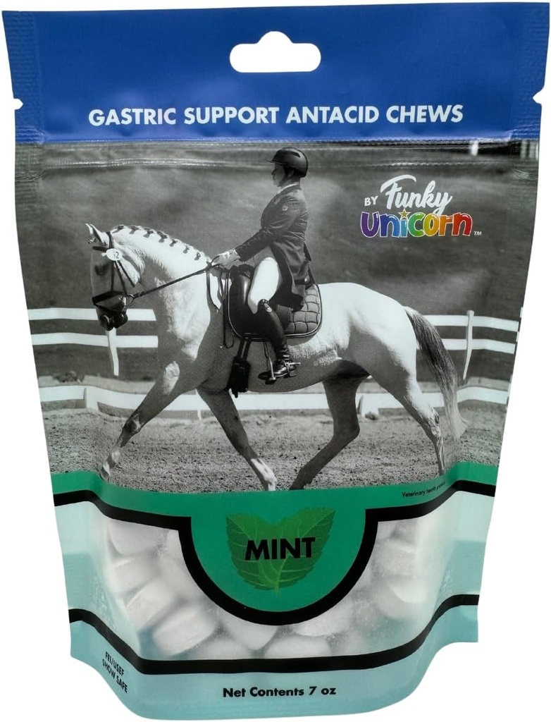 Funky Unicorn Gastic Chews - MINT rasa