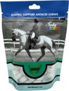 Funky Unicorn Gastic Chews - MINT rasa