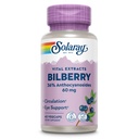 SOLARAY Bilberry Berry Extract 60 mg 124; powerful Antioksidant 124; Healthy Vision & Circulation Dukung 124; 60 VexCaps