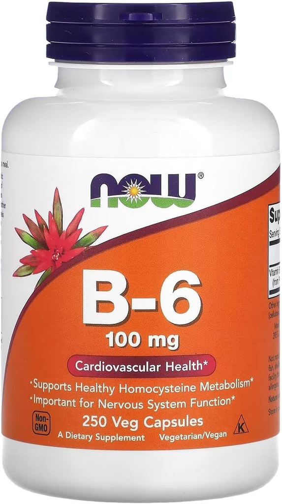 Sekarang Foods Vitamin B-6 250 Capsules / 100mg