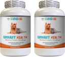 Dukungan BIdder Dog - Dog Urinary Health Formula - Membantu dengan Incontinuence and Bladder Issuses - Ammune Boost - Dog Cranberry Supplemen mengunyah - 2 Botol (180 Treats)