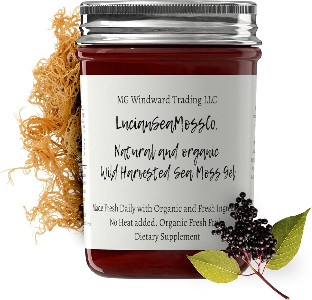 Dr. Sebi Inspired Alkali Organik Segar Elderberry Ginger Sea Moss Gel