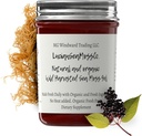 Dr. Sebi Inspired Alkali Organik Segar Elderberry Ginger Sea Moss Gel