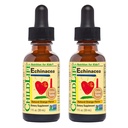 Anak-anak Echinacea Drops, Liquid Free Suplement for Baby, Toddlers, Children.