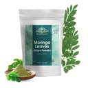 Moringa Leaves Powder Oleifera Leaf Shigru Great in Minuman dan Smoothies 16 Ounce