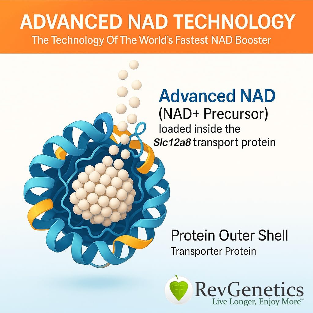 REVGENETICS Advanced NAD + Suplement, 60 Kapsul - Dietary Suplemen untuk Penuaan Kesehatan & Umur Panjang