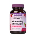 Nutrition BlueBonnet Earth Sweet Vitamin B12 & Folic Acid Chewable Tablet, SoyFree, Gluten- Free, Raspberry 90 Count (Paket 1)