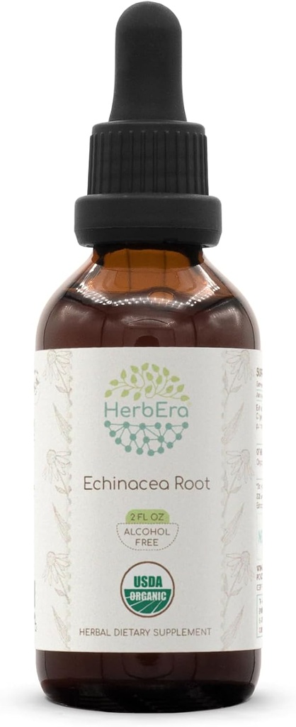 HerbEra Echinacea Root B60 USDA Organik Tincture 124; Ekstraksi Alcohol- Free Extract, Tinggi-Potensi Herbal Drops, Immune System Health 124; Certifikasi Organic Echinacea Root (Echinacea Purpurea) Dry Root (2 flflo oz)