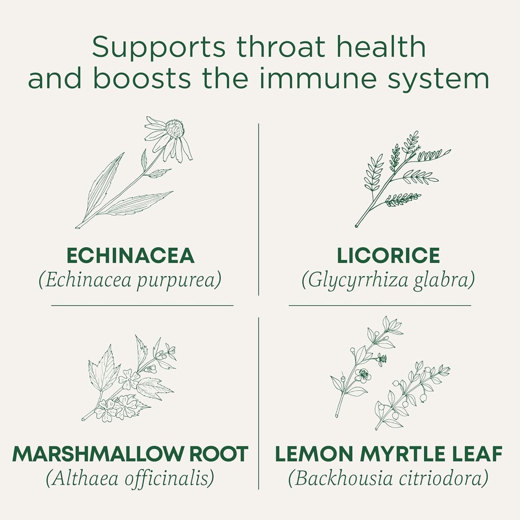 Obat tradisional Lozenges, Organik Throat Coat Lemon Ginger Echinacea, Sore Throat Dukungan, 16 Cacah (Paket 2)