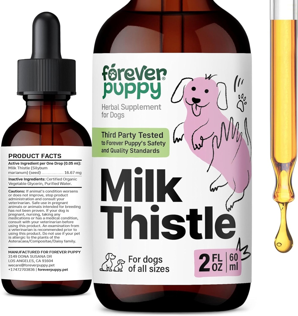Suplemen Thistle Milk Forever untuk Anjing - Dukungan Hati untuk Anjing dengan Ekstrak Thistle Milk - Silymarin Suplemen & Vitamin untuk Medium Kecil - Kanine Liver Detox Drops - 2 oz