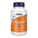 Sekarang Makanan Suplemen, L- Carnosine (Beta- Aly- L- Histidine) 500 mg, Penuaan Sehat, 100 Veg Capsules