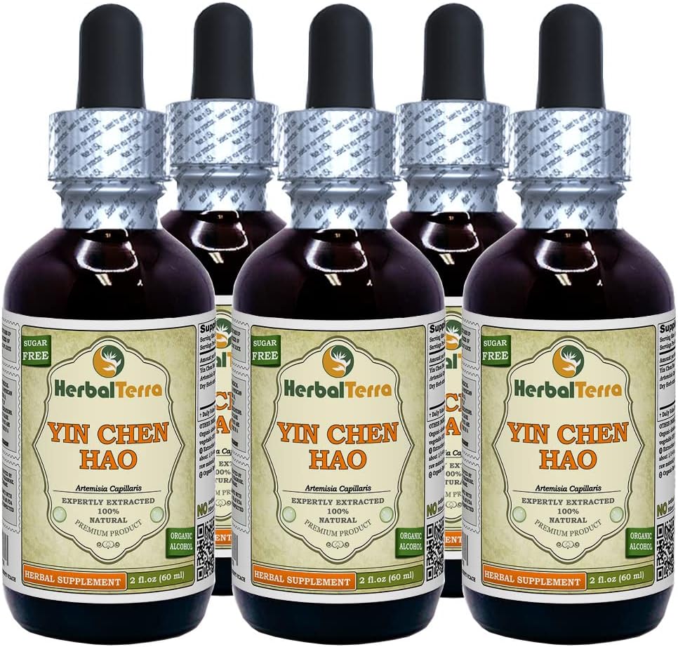 Yin Chen Hao (Artemisia Capillaris) Tincture, Organik Dirry Herb Liquid Extract (Nama Merek: HerbalTerra, Proughtly Made in USA) 5x2 f.oz (5x60 ml)