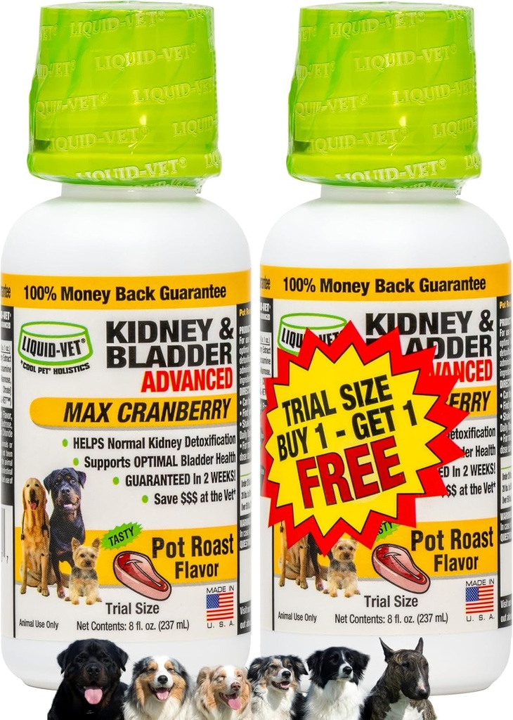 Premium Mudah untuk Dose Liquid untuk All Dogs dengan Cranberry & D- Mannose: Anjing Komprehensif Formula untuk Ginjal & Bladder Dukungan