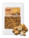 (8oz) Petani Ratu Roast Yerusalem Artichoke Helianthus Tuberosus Rich Inulin Polyphenol Dietary File: