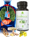 OMNIBREATH - Cepat Meningkatkan Masalah Nafas oleh NAC 600MG Ilmiah Formulated.