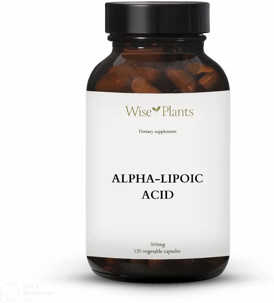Alpha- Lipoic Acid - Non- GMO - 500mg, 120 Pelayan (4 Bulan Suppply), Levels Energi, Dukungan Mitokondria