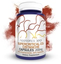 Nootropics Depot Cistanche Superkritis CO2 Ekstrak Kasules 124; 20% Echinacoside + 20% Verbascoside (Acetoside) Ace4; 60 Count