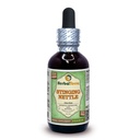 Herbal Terra LLC Stinging Nettle (Urtica Dioica) Glycerite, Organic Diry Leaves Alcohol- Free Liquid Extract 2 oz