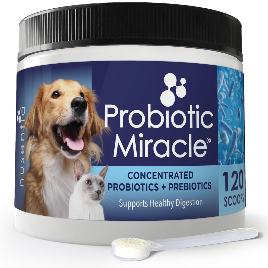Produksi untuk Kucing & Anjing: Keajaiban Probiotik: Bowel & Gut Dukungan: Kesehatan Digetical: Stop Diare, Loose Stool