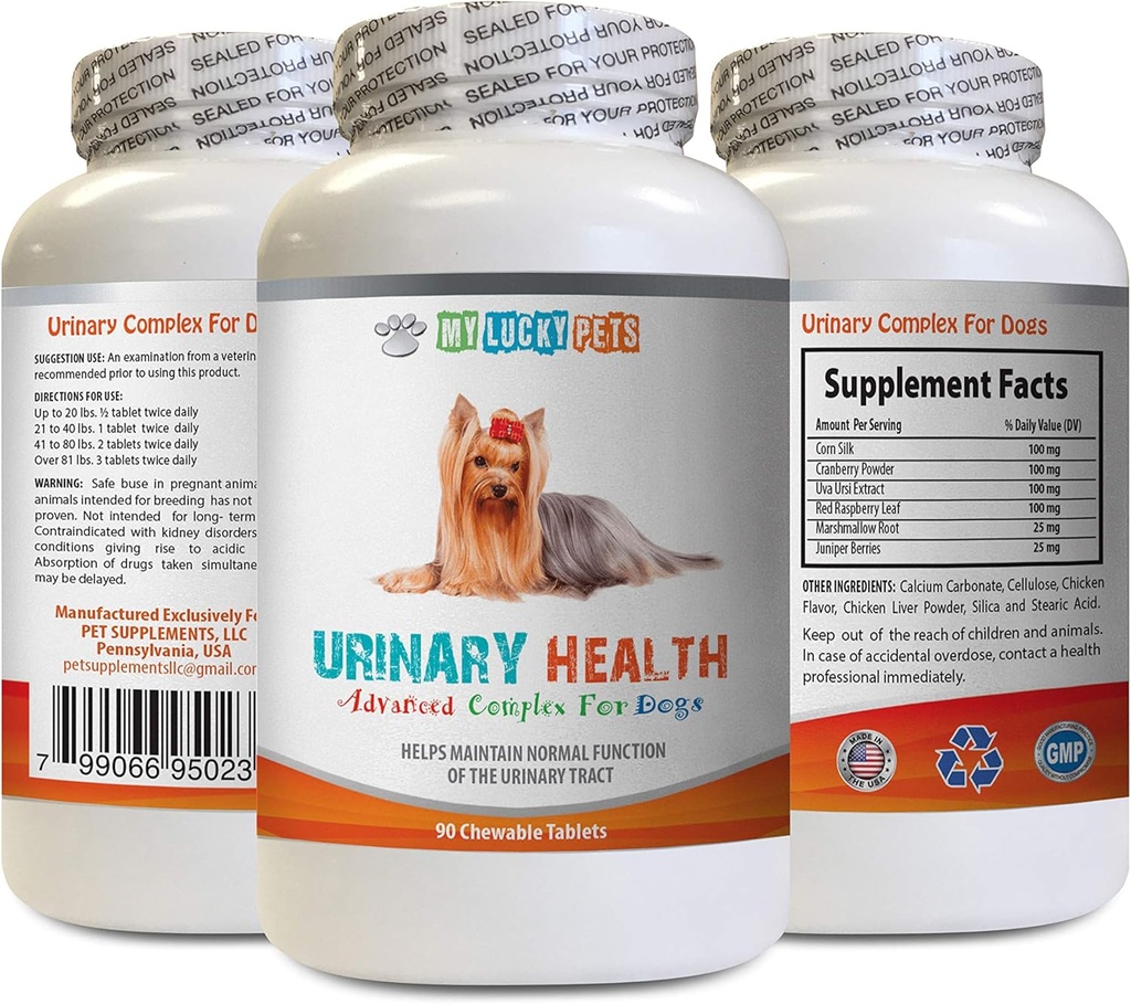 Incontinental Urin Anjing - Formula Kesehatan Urin - Membantu dengan Incontinuence dan Issuses Bladder - Ammune Boost - Jagung Silk Capsules untuk Anjing - 1 Botol (90 Trets)