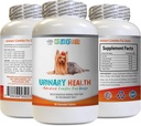 Incontinental Urin Anjing - Formula Kesehatan Urin - Membantu dengan Incontinuence dan Issuses Bladder - Ammune Boost - Jagung Silk Capsules untuk Anjing - 1 Botol (90 Trets)