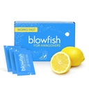 Blowfish untuk Hangovers - Quast Hangover Relief dalam 15 Menit: 124; Relief Sakit kepala, Energi, dan Hidration dalam Satu Langkah 124; Kotak Tunggal