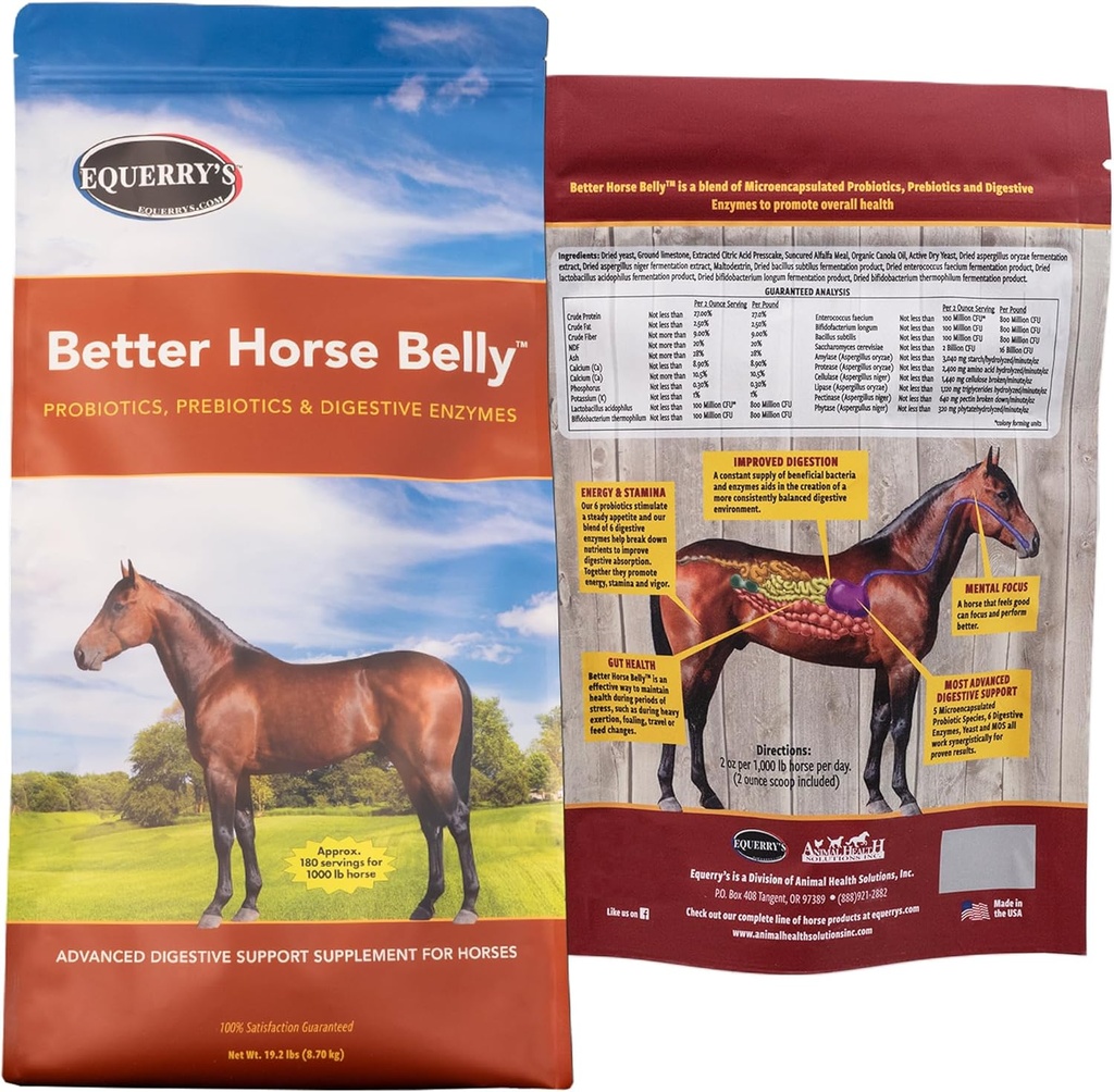 EQUERRY 'S Better Horse Belly - Suplemen dengan Gut Dupport 124; Progories dengan Pregities dan Digetical Enzymes 124; untuk Kolic, Digetical Upset - 19.2 LB