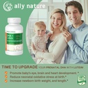 Vegan Prenatal DHA 440mg - Lutein 20mg For Pregnancy - Non-GMO Prenatal Multivitamin For Pregnant Women - Dukung Heally Brain, Eye and Heart In Baby 's Development - 60 Softgeels