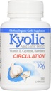 Kyolic Aged Bawang putih Ekstrak Hati Sehat Formula 106 - 100 Kapsul