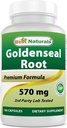 Terbaik Goldenseal Root 570 mg (Non- GMO) 100 Capsules