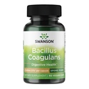 Swanson Bacillus Coagulans Spore- Formulir Probiotic for Dewasa Mencari Shelf-Stable Digetical Dukungan dengan 6 Milyar CFU - Acid- Resistant (60 Vegan Capsules)