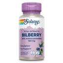 SOLARAY Bilberry Extract 160 mg, Dukungan Kesehatan & Sirkulasi Mata dan Dukungan, 36% Anthocyanosides Plus Blueberry, Vegan, 30 Vegan Caps