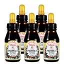 Distributor Resmi - 5 Botol Apiario Silvestre Brasil Green Bee Propolis Glycoid Extract - Non Alcolic, Wax Free, Sugar Free (PG)
