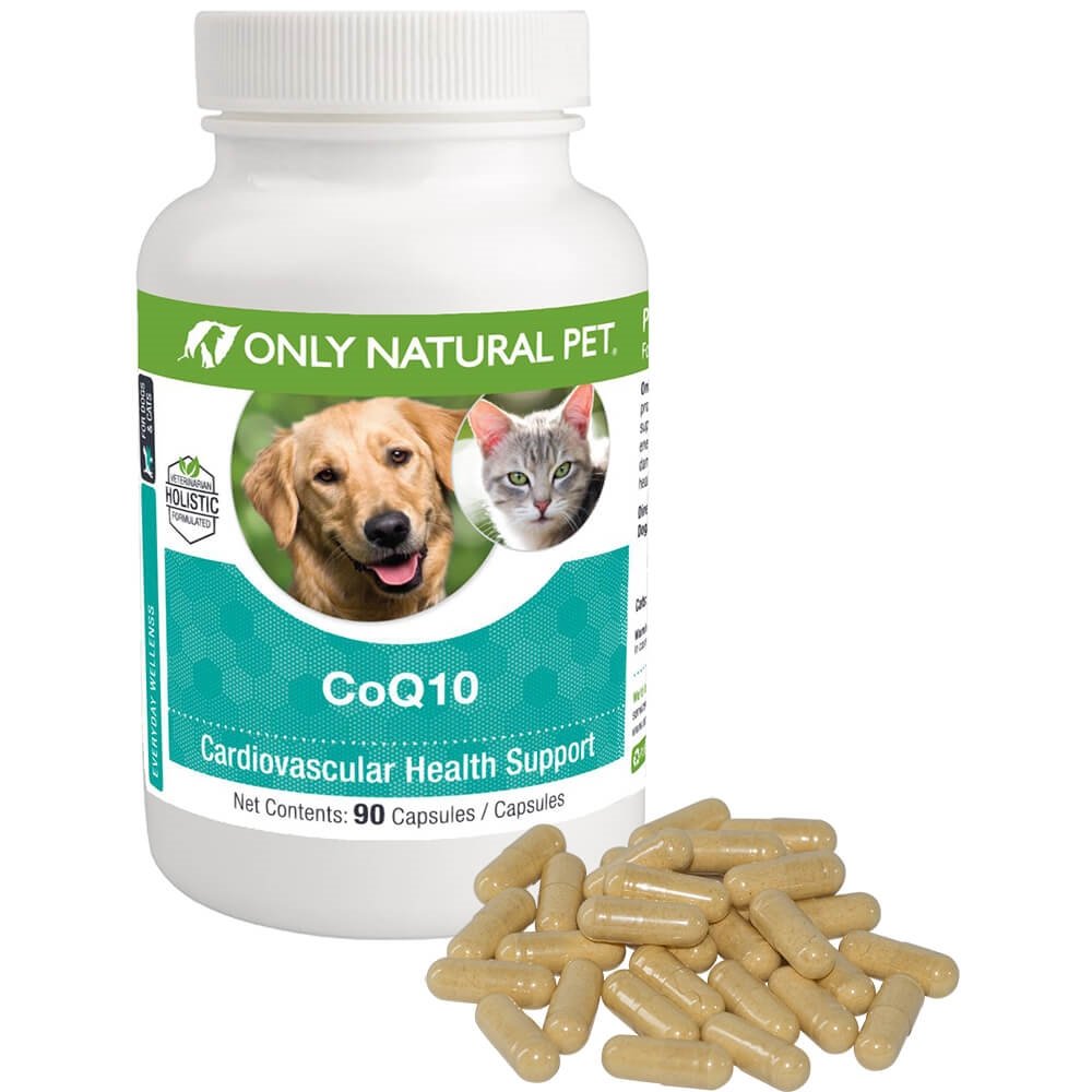 Hanya Pet CoQ10 Natural Capsules for Dogs & Cats - Koenzim Q10 Ubiquinone Suplemen - Membantu Mempertahankan Vitalitas, Energi & Overall Wells - 90 Cacah