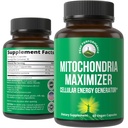 Mitokondria Maximizer dengan CoQ10 dan PQQ Aktif. Suplemen Dukungan Mitokondria Terbaik dengan MCT Oil. Generator Sel Alam untuk Bersihkan, Katup Energi Fokus 60 Vegetarian