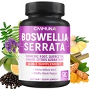 Boswellia Capsules dengan Boswellia, Turmeric, Quercetin dan More - 90 Kapsul untuk 3 Bulan Supply