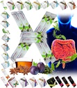 Semua Detox Natural Cleanse Mix Prune & Plum w.