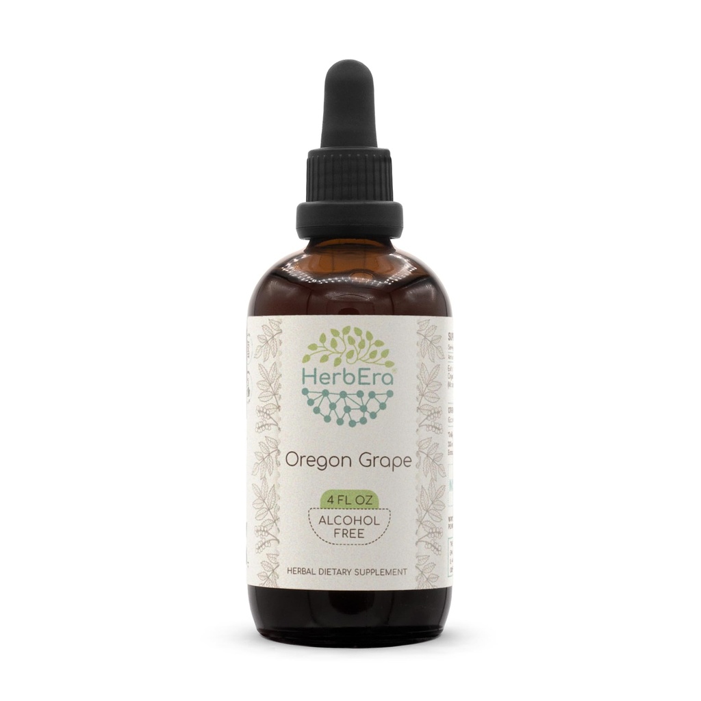 HerbEra Oregon Grape B120 Alcohol- Free Herbal Extract Tincture, Super- Comcenttentelled farmed Oregon Grape (Mahonia spp.) (4 fl oz)