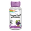 Grace Serba Serap Serap Serba 200 mg Plus Biolavonoid Kompleks 124; Sehat Kardiovaskular & Vessel Dukungan 124; 60 VevCaps