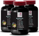 Berry Benefits - RESVERATROL COMLEX - Elderberry Power, Daily Antioksidants, Blueberry Power, Flavorful Boost, Noni Blend, Goji Berry Power, Dukungan Nukrasi, Acai Berry Kekuatan 3 Botol 180Caps