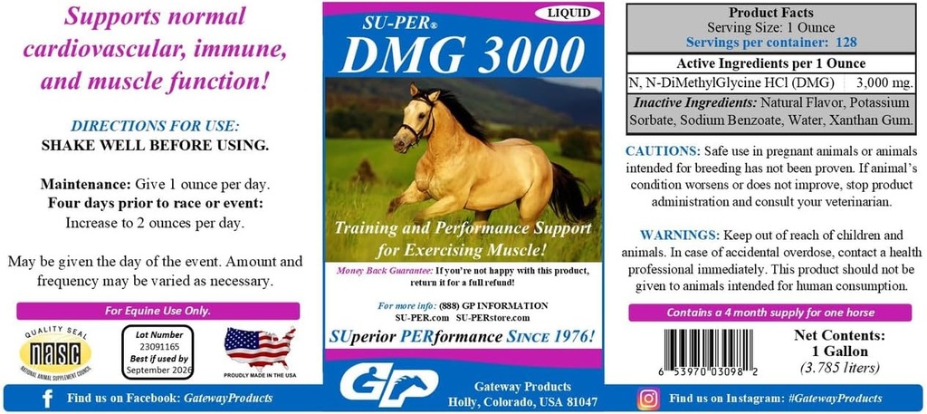 SU-PER DMG 3000 Suplemen Kuda - Pelatihan & Performance Dukungan Cair - Support Normal Cardiovascular Ammune & Muscle Fungsi - 1 Gallon, 4 Pasokan Bulan
