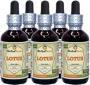 Lotus, Xi Xin (Nucifera Nemumfera) Ekstrak Cair Stem Kering (Nama Merek: HerbalTerra, Proughtly Dibuat di USA) 5x2 oz