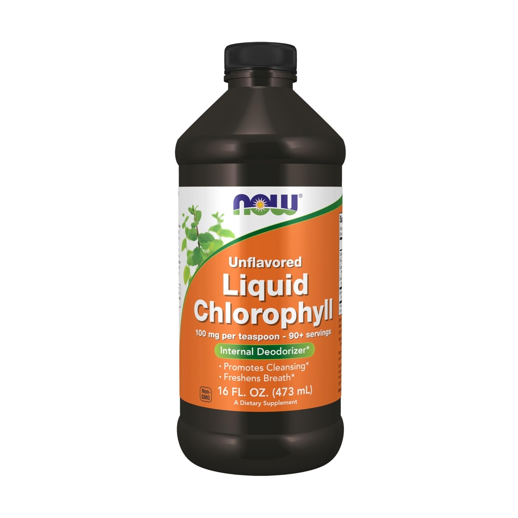 Sekarang suplemen Makanan, Clorophyll Liquid Tanpa Rasa, 100 mg per sendok teh, 16 fs. oz.