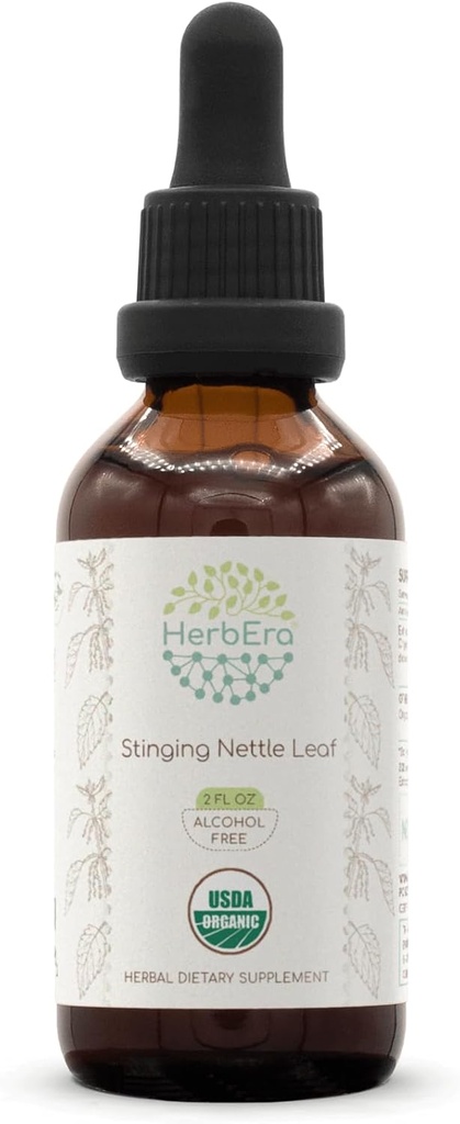 HerbEra Stinging Nettle Leaf B60 USDA Organik Tincture 124; Alcohol-Free Extract, High- Potency Herbal Drops 126; Certifikasi Organik Stinging Nettle (Urtica Dioica) Dry Leaf (2 oz)