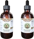 White Pine Alcohol- Free Liquid Extract, White Pine (Pinus Strobus) Dry Glycerite Natural Herbal Suplemen, Hawaii Pharm, USA 2x4 F.oz