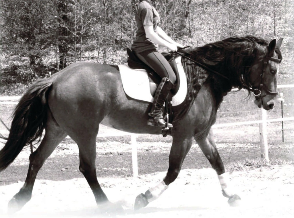 Tambahan Hormone and Calming for Horses All Natural Pure Raspberry dan Peppermint Herbal Blend 14 oz.